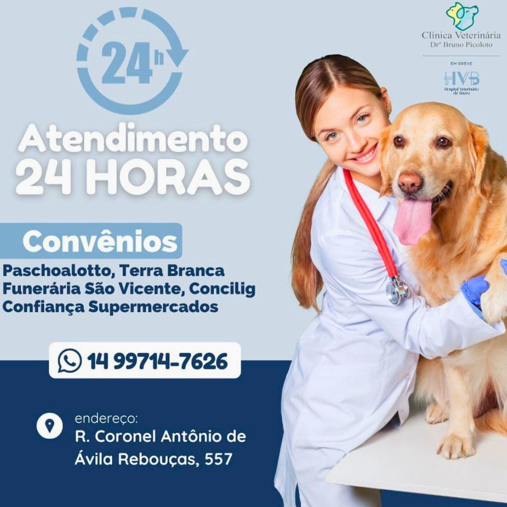 Clínica Veterinária Dr. Bruno Picoloto_Bauru_Club Love Pet_Foto 2