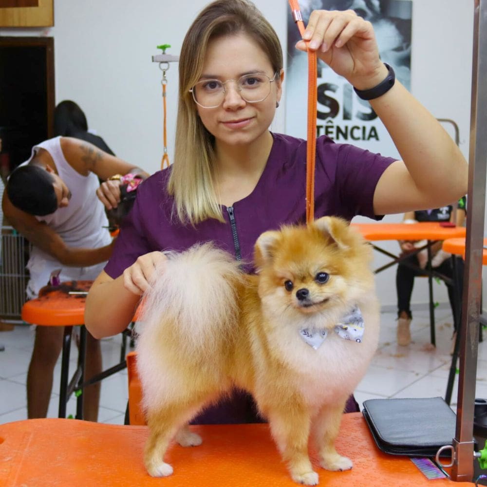 Garagem Pet Shop Estoril_Bauru_Club Love Pet_Foto 6