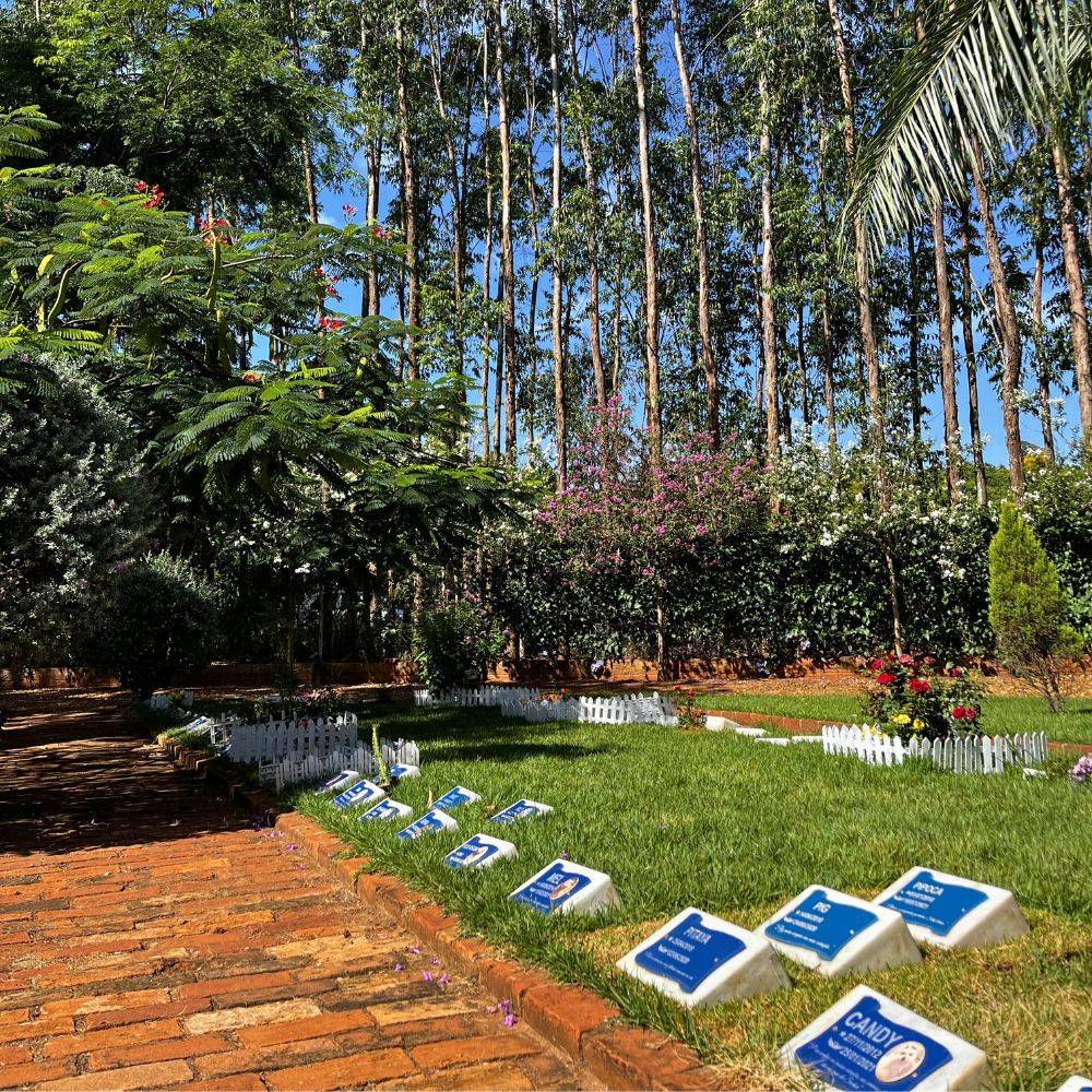 Memorial dos Animais _Bauru_Club Love Pet_Foto 10