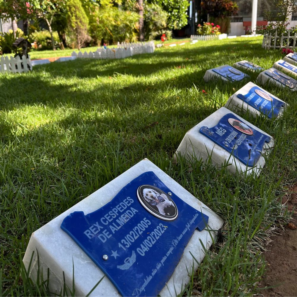 Memorial dos Animais _Bauru_Club Love Pet_Foto 12