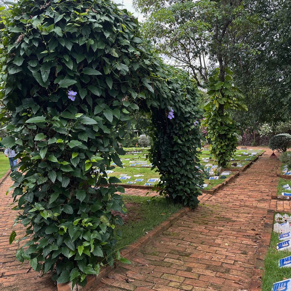 Memorial dos Animais _Bauru_Club Love Pet_Foto 5