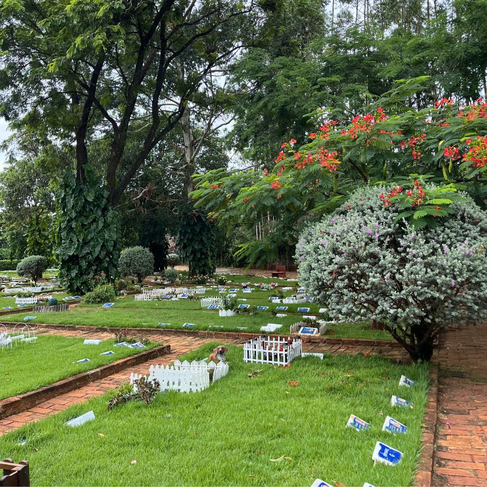 Memorial dos Animais _Bauru_Club Love Pet_Foto 7