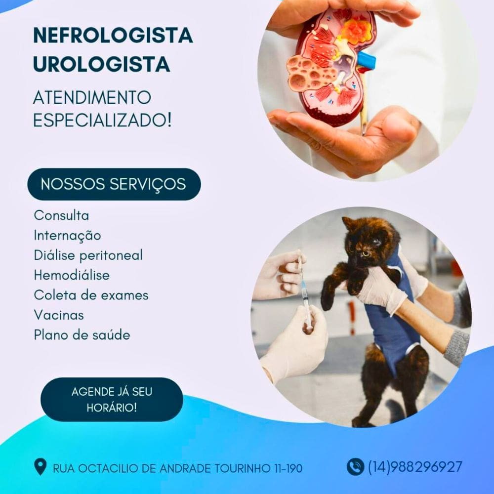 Nefropatas_Bauru_Club Love Pet_Foto 2