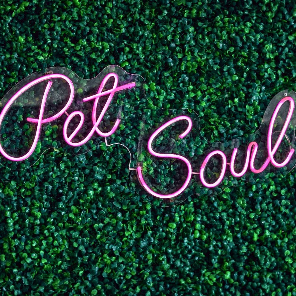 Pet Soul_Bauru_Club Love Pet_Foto 10