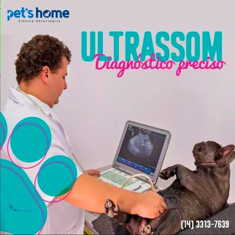 Pets Home Clinica Veterinária _Bauru_Club Love Pet_Foto 2