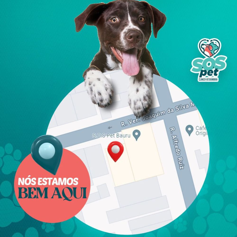 S.O.S Pet Clinica Veterinária_Bauru_Club Love Pet_Foto 2