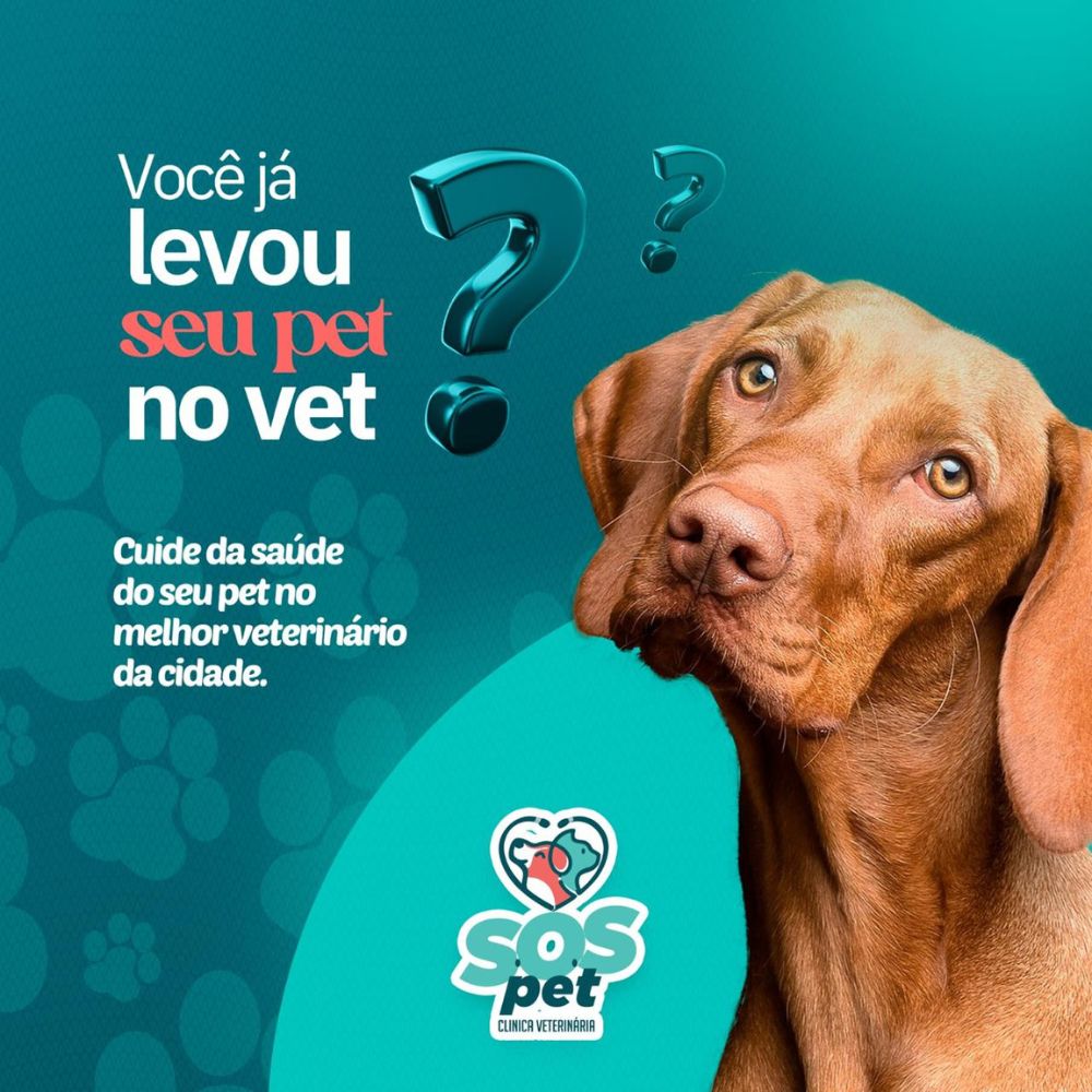 S.O.S Pet Clinica Veterinária_Bauru_Club Love Pet_Foto 3