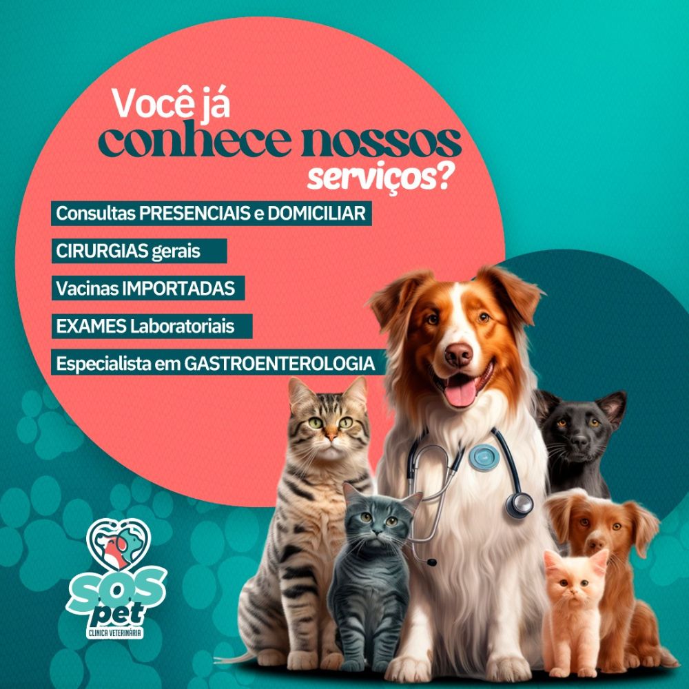 S.O.S Pet Clinica Veterinária_Bauru_Club Love Pet_Foto 4