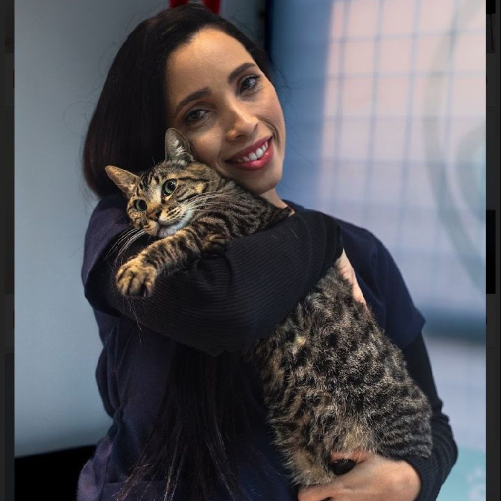S.O.S Pet Clinica Veterinária_Bauru_Club Love Pet_Foto 6