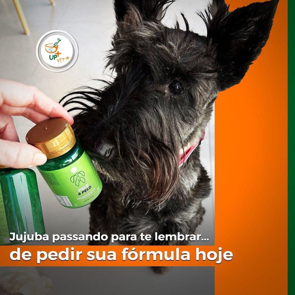 UP+VET Manipulação Veterinária_Bauru_Club Love Pet_Foto 5