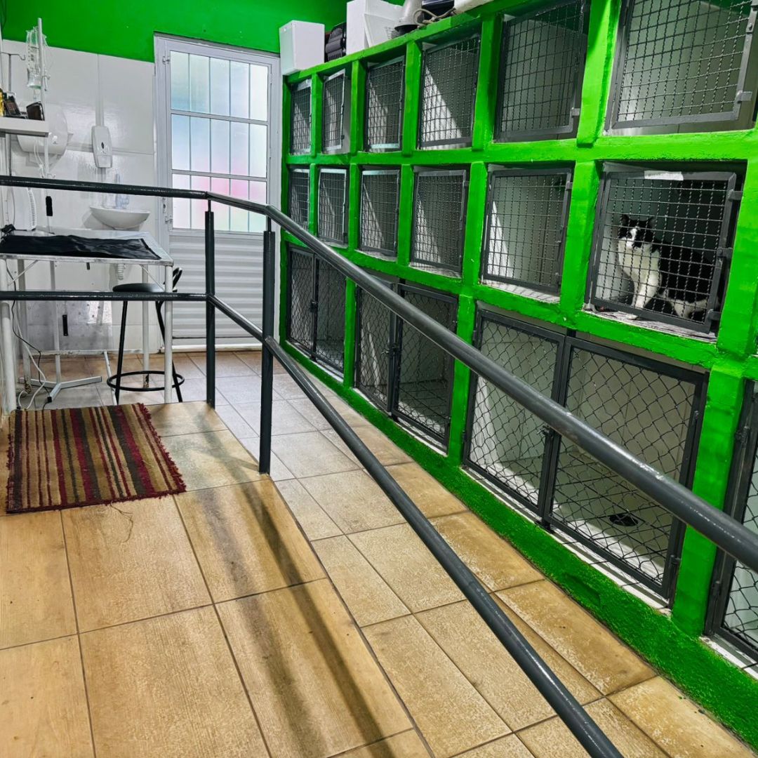 Clínica Veterinária DRr. Bezerra_Bauru_Club Love Pet_Foto 10