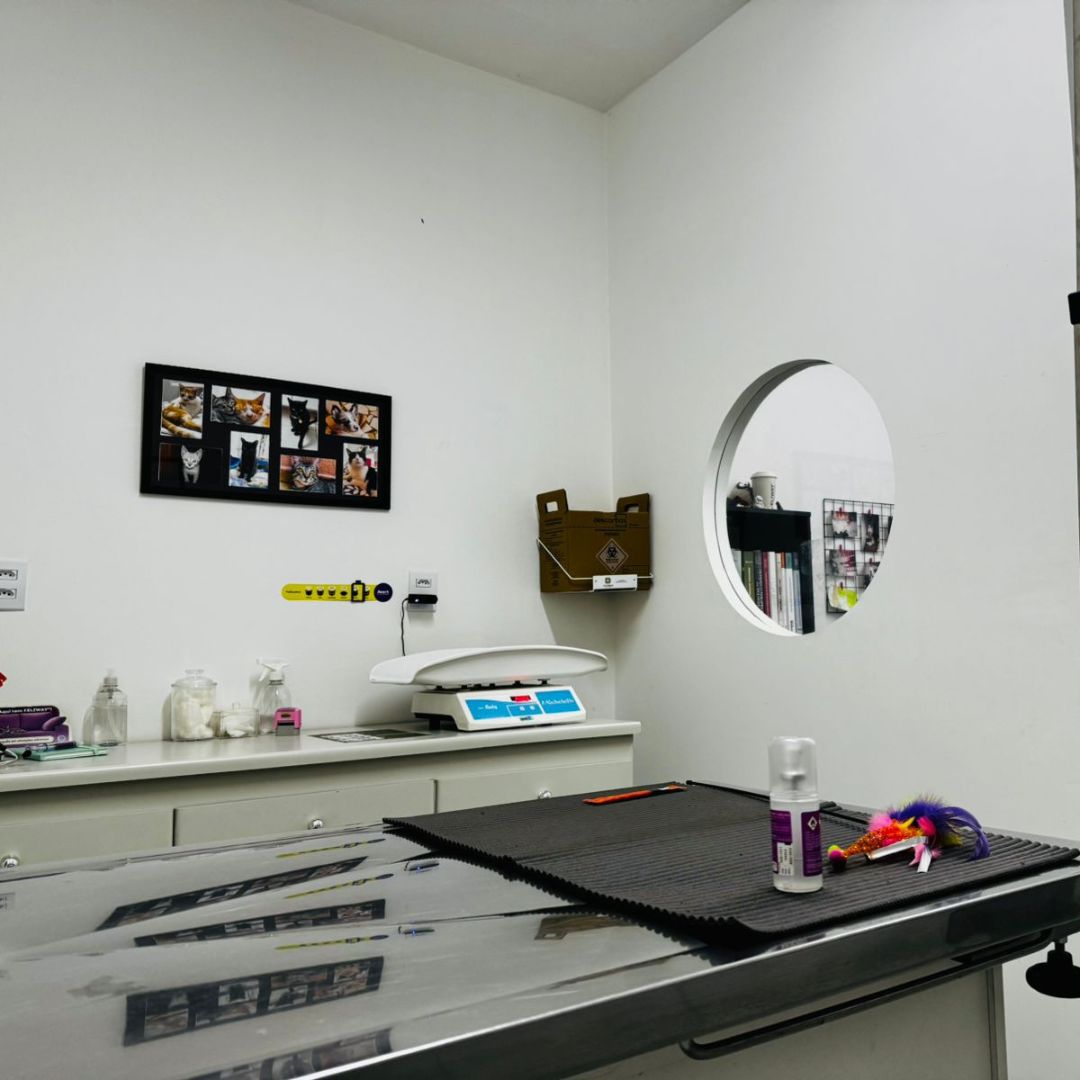 Clínica Veterinária DRr. Bezerra_Bauru_Club Love Pet_Foto 9