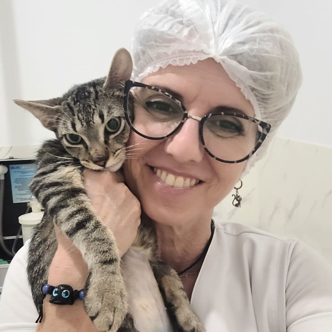 Rossini Clínica Veterinária_Bauru_Club Love Pet_Foto 2