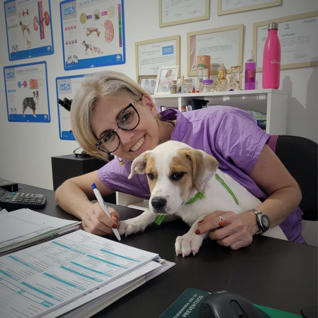 Rossini Clínica Veterinária_Bauru_Club Love Pet_Foto 8