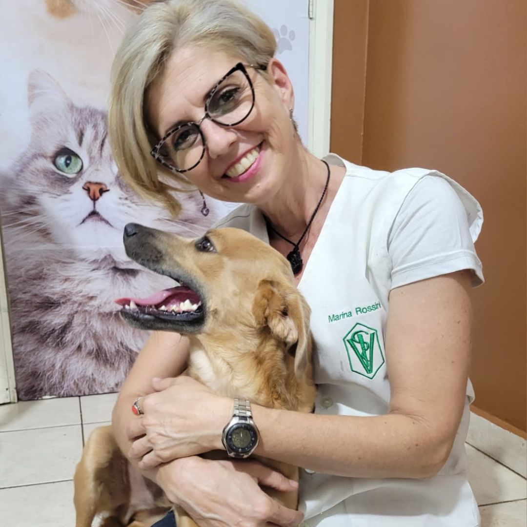 Rossini Clínica Veterinária_Bauru_Club Love Pet_Foto 9