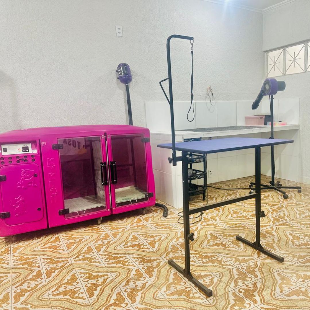 LateMia Clínica Veterinária _Bauru_Club Love Pet_Foto 2