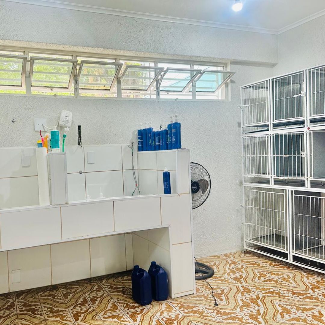 LateMia Clínica Veterinária _Bauru_Club Love Pet_Foto 3