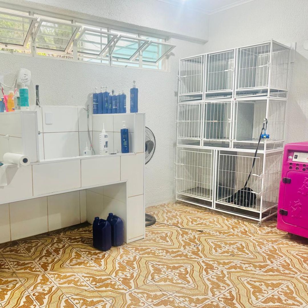 LateMia Clínica Veterinária _Bauru_Club Love Pet_Foto 4